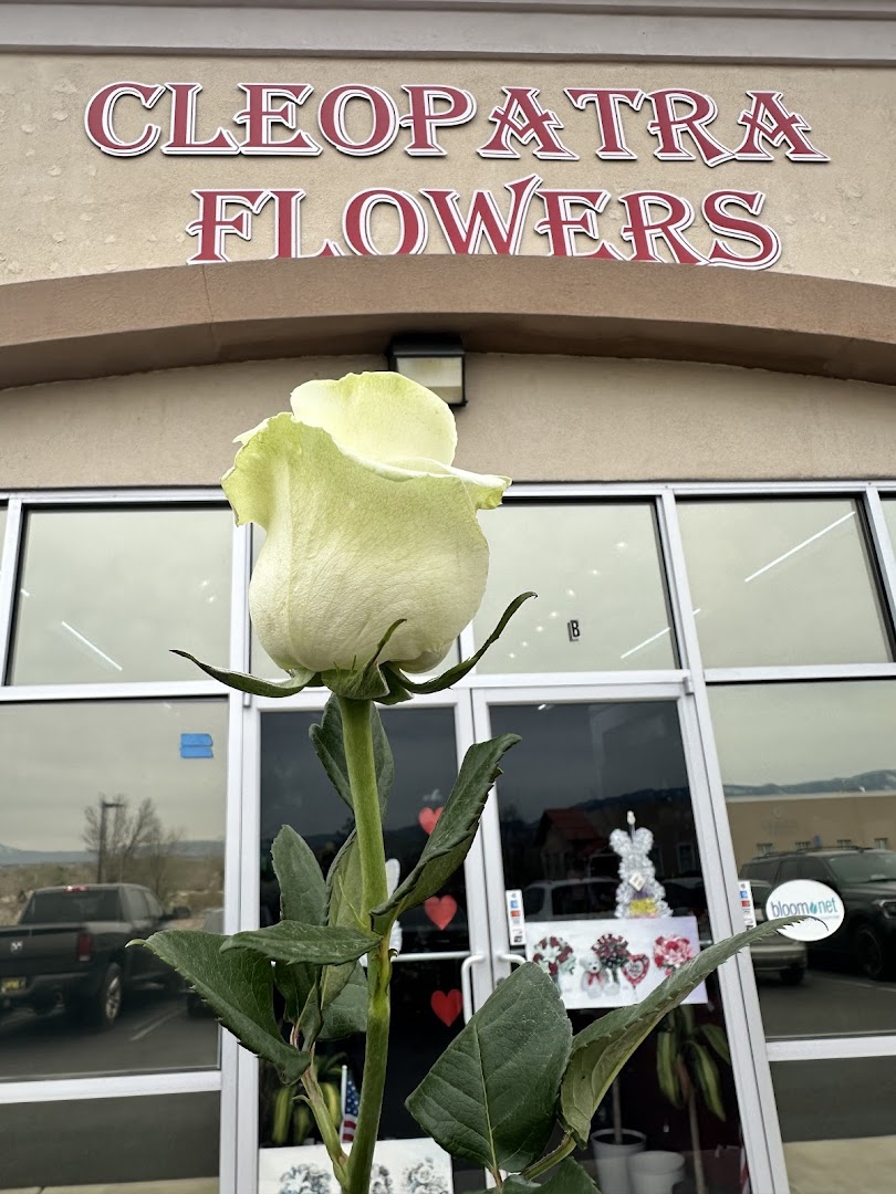 Arrangement from Cleopatra Flowers